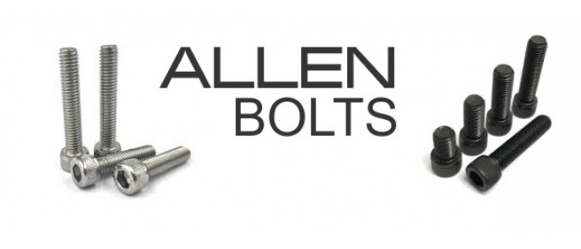 Allen Bolts